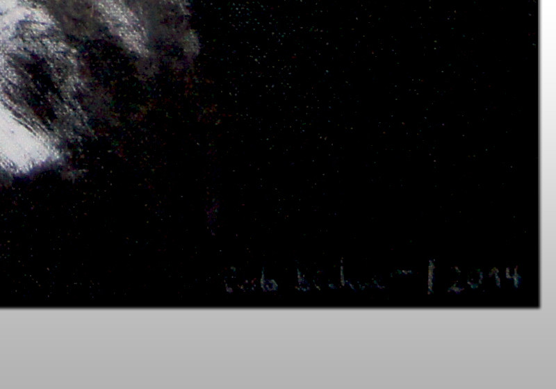 Udo Lindenberg Bild   Udo Lindenberg Bild