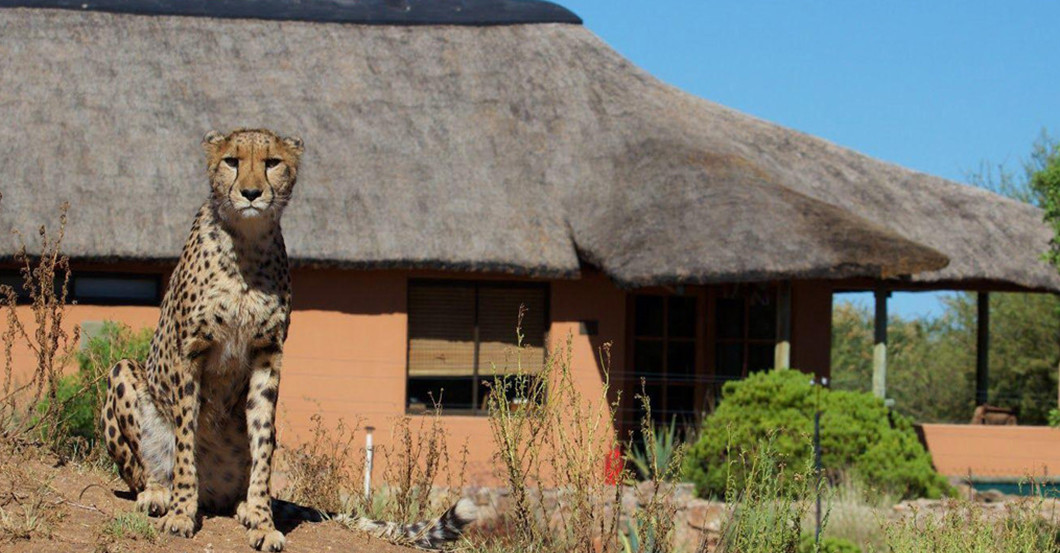  Übernachtung beim CCF 