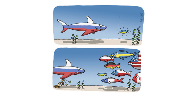 Ukraine Cartoon   Ukraine Cartoon