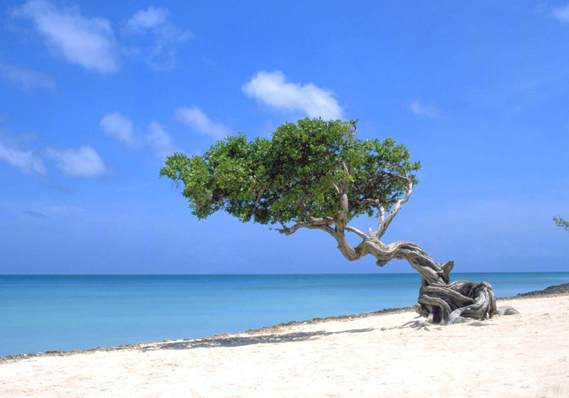  Urlaub in der Karibik 