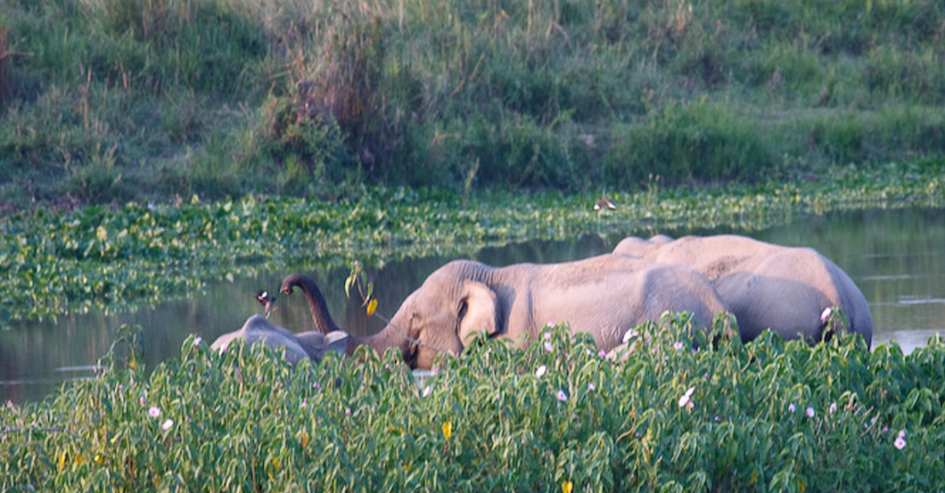 Urlaub Indien    Urlaub Indien