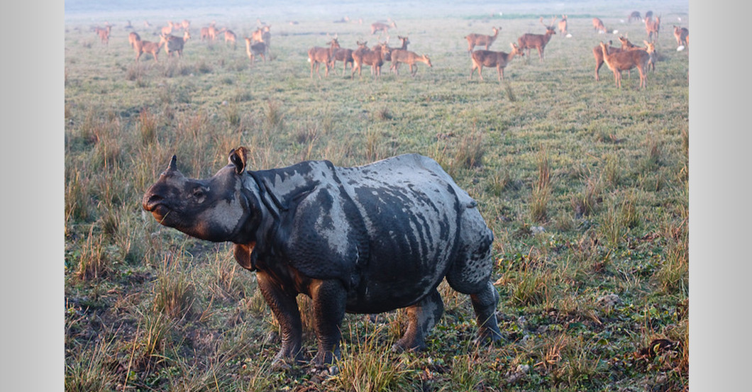 Urlaub Indien    Urlaub Indien