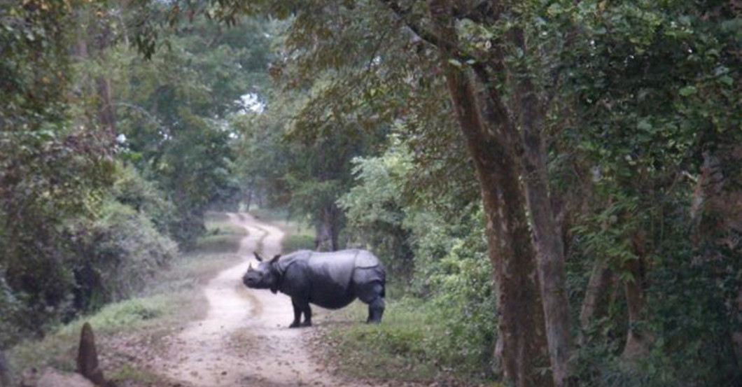 Urlaub Indien    Urlaub Indien