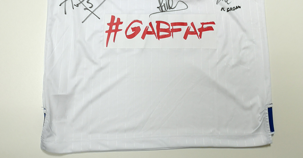 van der Vaart HSV   van der Vaart HSV