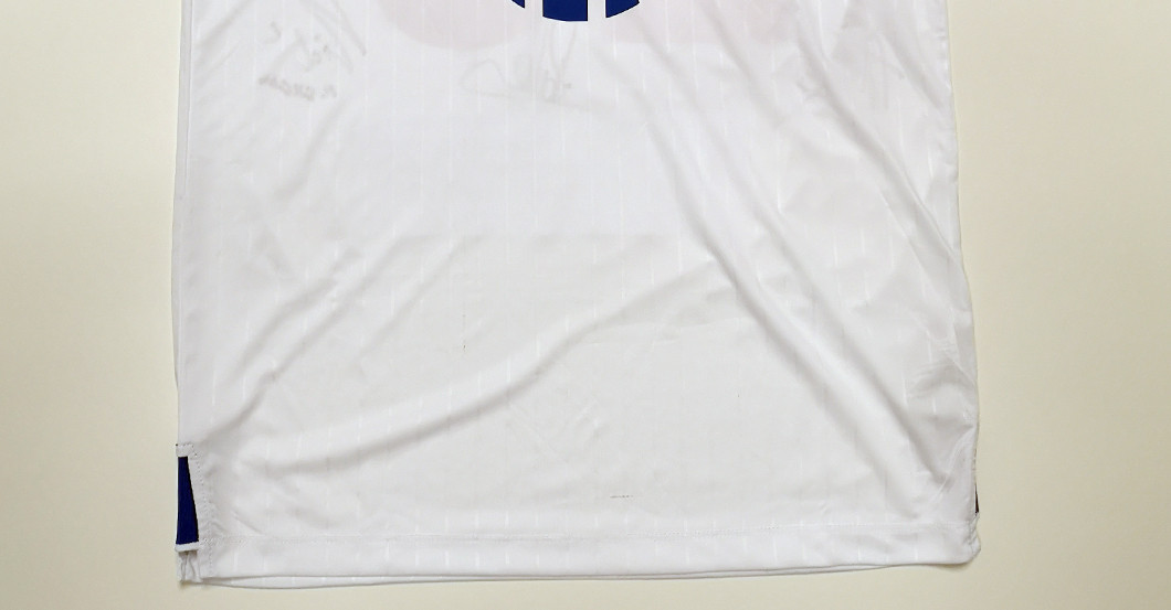 van der Vaart HSV   van der Vaart HSV