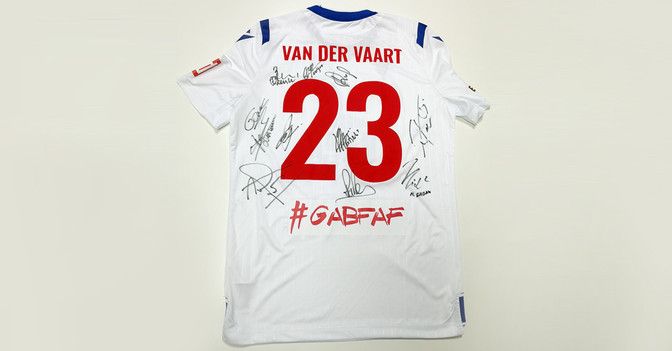 van der Vaart HSV   van der Vaart HSV