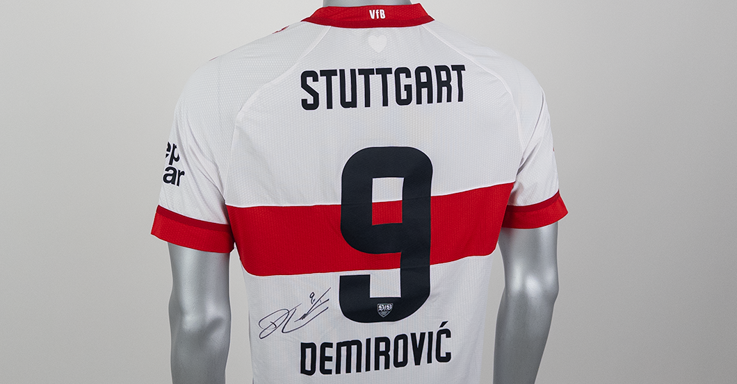 VfB-Hiroshima Demirović   VfB-Hiroshima Demirović