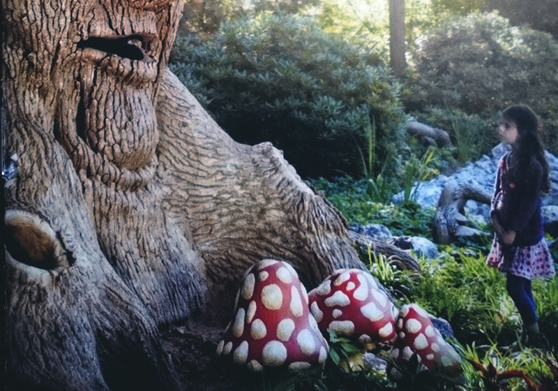  Vier Tickets Efteling 