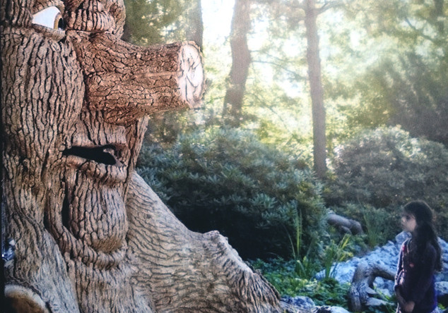  Vier Tickets Efteling 