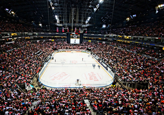 VIP bei den Kölner Haien   VIP bei den Kölner Haien