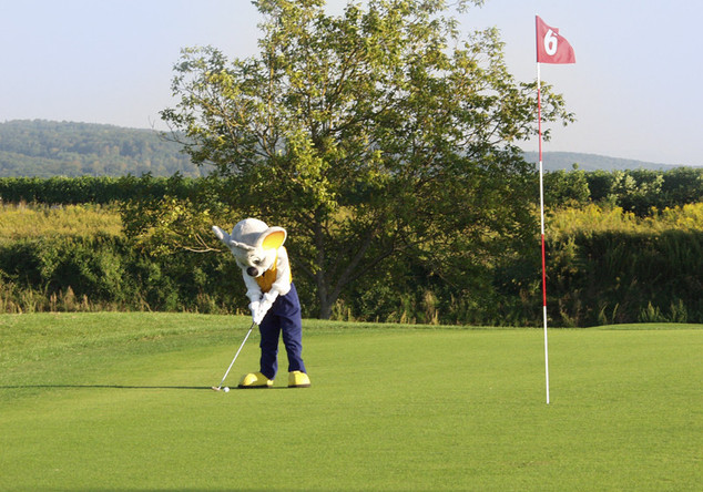 VIP beim Golfturnier   VIP beim Golfturnier