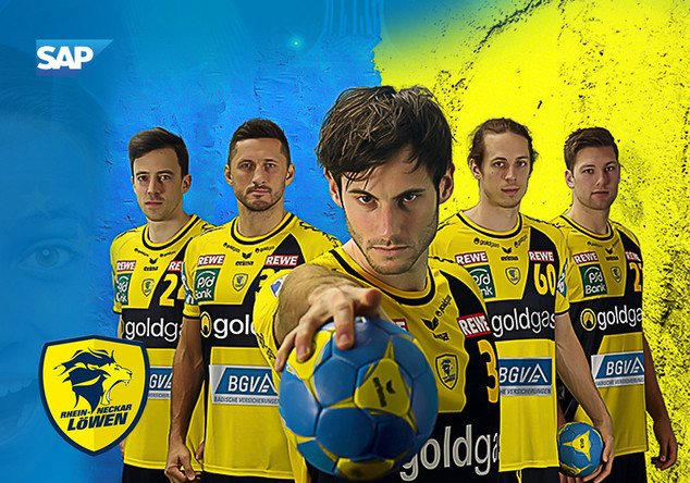  VIP Rhein-Neckar Löwen 