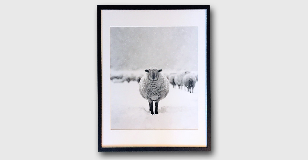  Walter Sittig Fotografie 