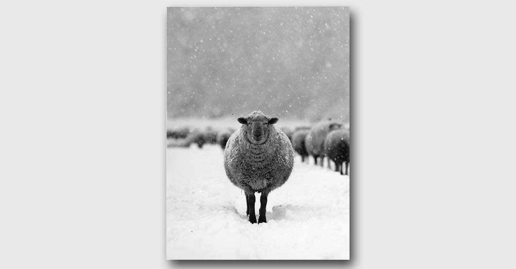  Walter Sittig Fotografie 