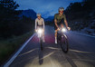  WBR Lupine Licht 