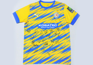 wdw Braunschweig Trikot wdw Braunschweig Trikot