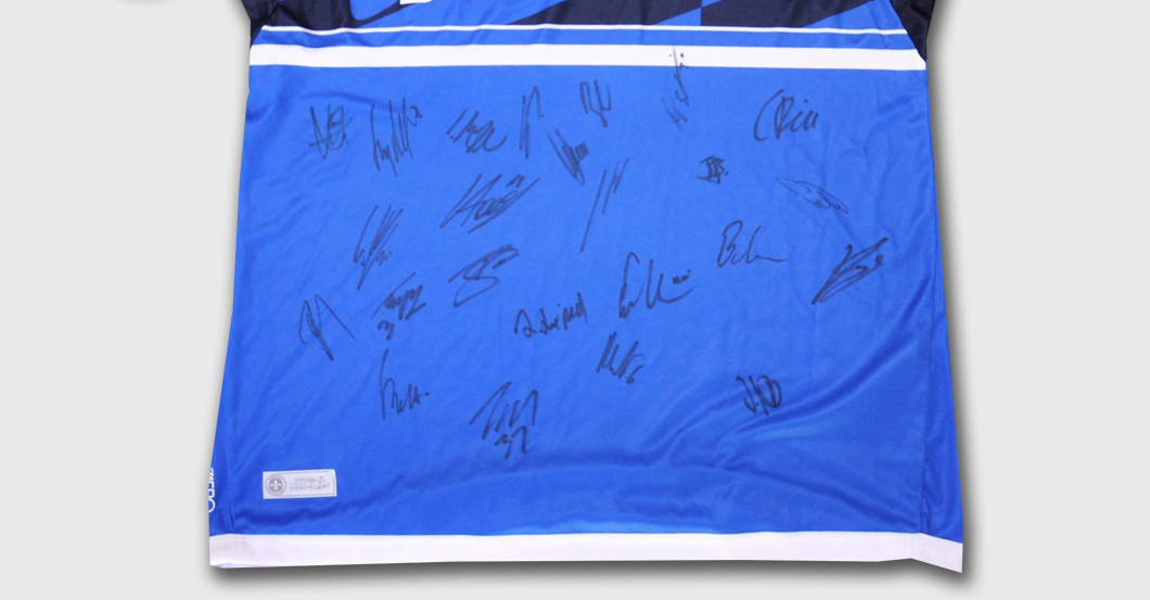 wdw Darmstadt Trikot   wdw Darmstadt Trikot