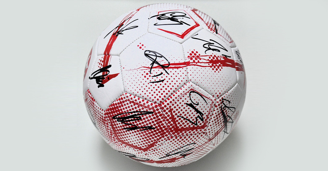 WDW Kaiserslautern Ball   WDW Kaiserslautern Ball