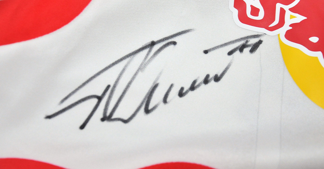 wdw Werner Trikot   wdw Werner Trikot