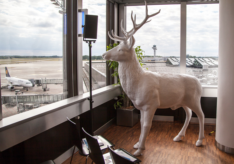  Weißer Hirsch Domian 