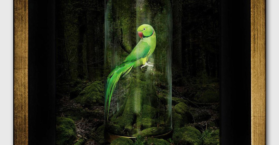 Werk Tina Winkhaus   Werk Tina Winkhaus