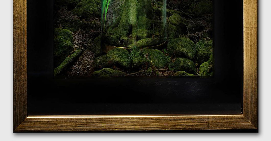 Werk Tina Winkhaus   Werk Tina Winkhaus