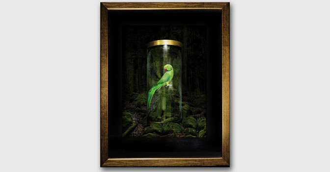 Werk Tina Winkhaus   Werk Tina Winkhaus