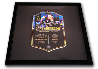  WH Anderson Darts Card 