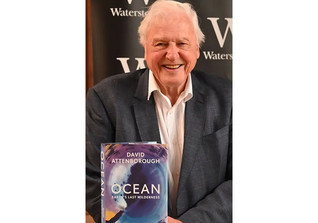  WH Attenborough Buch 