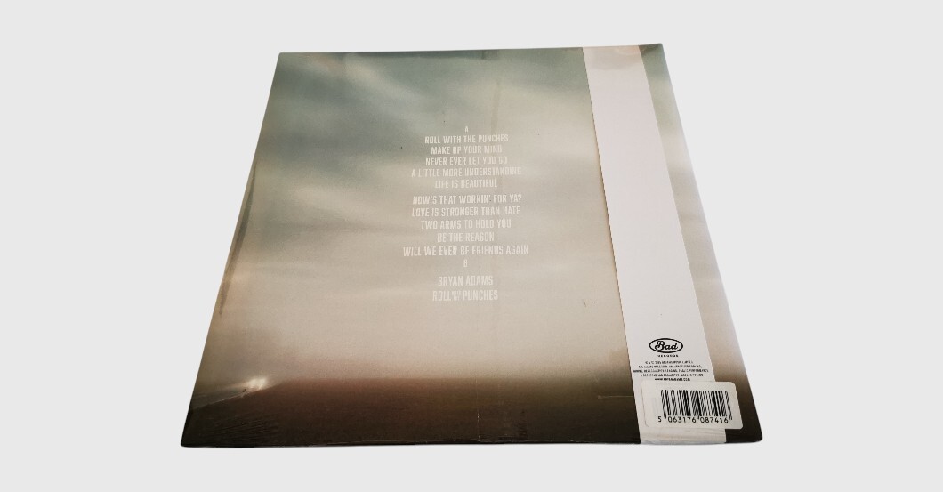  WH Bryan Adams Vinyl 