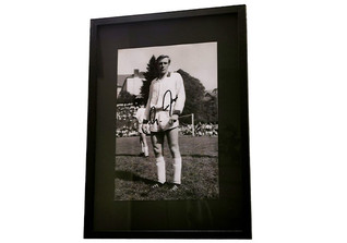  WH Netzer Fotografie 