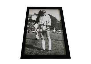  WH Netzers Fotografie 