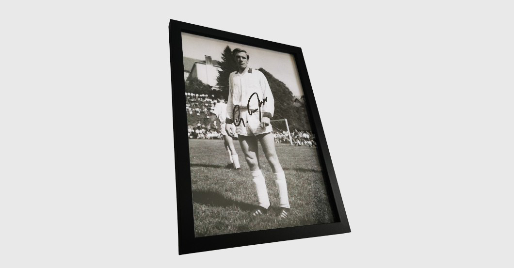 WH Netzers Fotografie   WH Netzers Fotografie