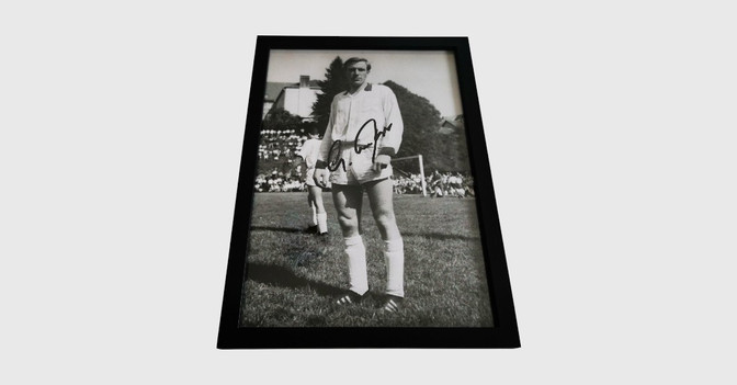 WH Netzers Fotografie   WH Netzers Fotografie