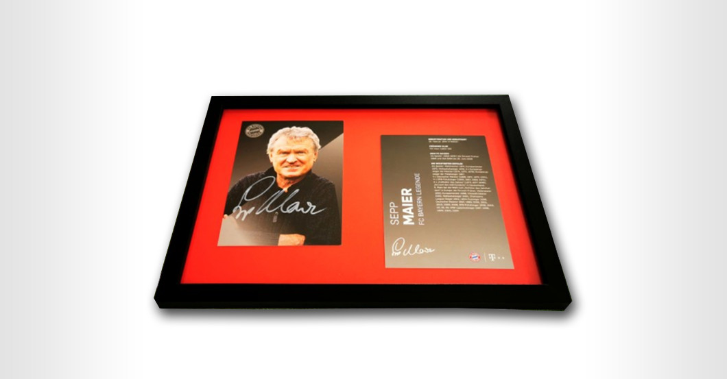 WH Sepp Maier Trikot   WH Sepp Maier Trikot