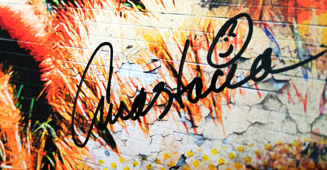 WH Vinyl Anastacia   WH Vinyl Anastacia