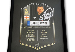  WH Wade Darts Card 
