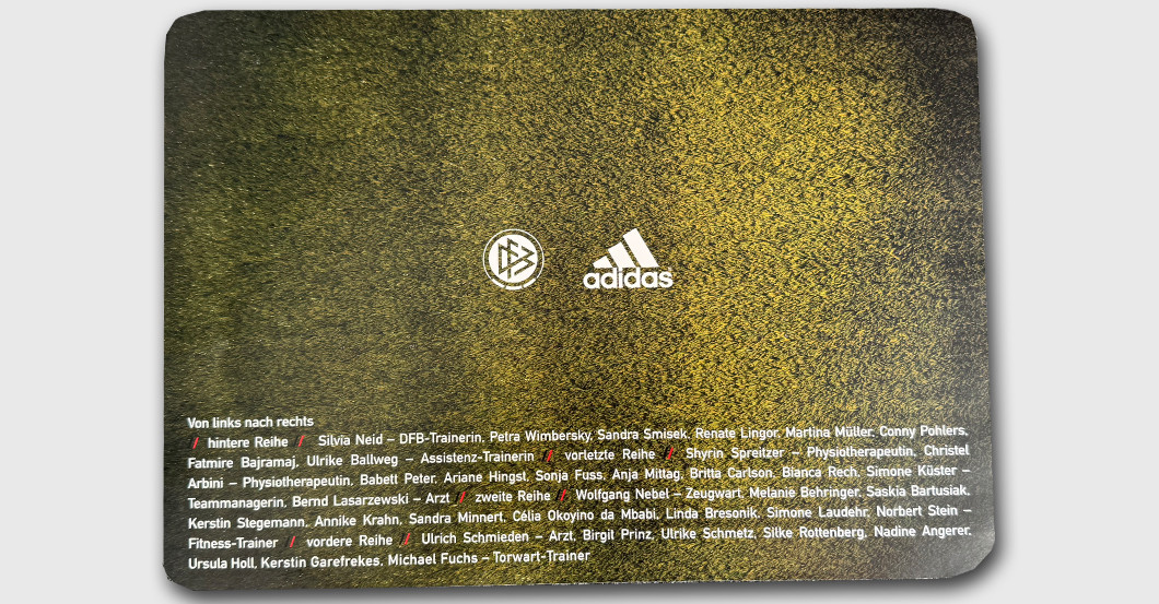 Wimpel Schweiz und Poster   Wimpel Schweiz und Poster