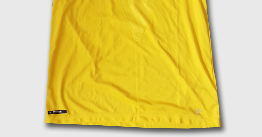 Witsel BVB teamsigniert   Witsel BVB teamsigniert