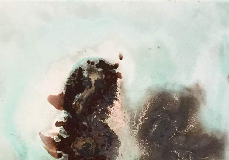  Yasemin Hakverdi Bild 