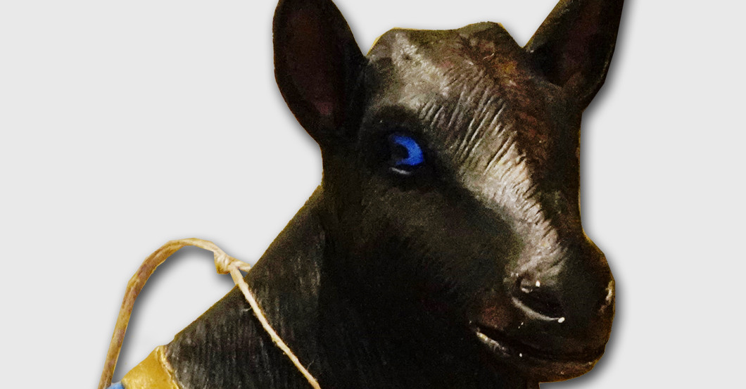 Ziege Frantz   Ziege Frantz