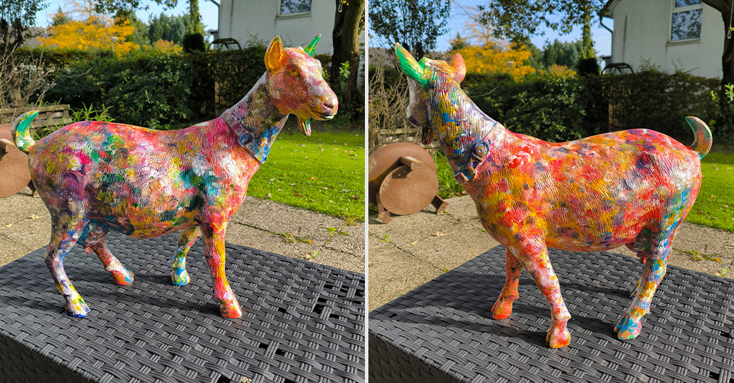 Ziege Helene Fischer   Ziege Helene Fischer