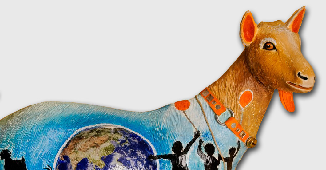 Ziege Karle   Ziege Karle