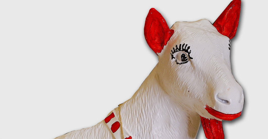 Ziege Miguel   Ziege Miguel