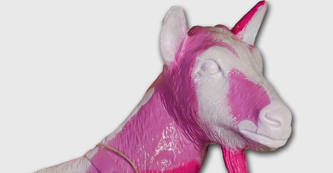  Ziege Pinky Goat 