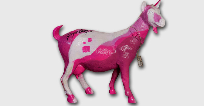  Ziege Pinky Goat 