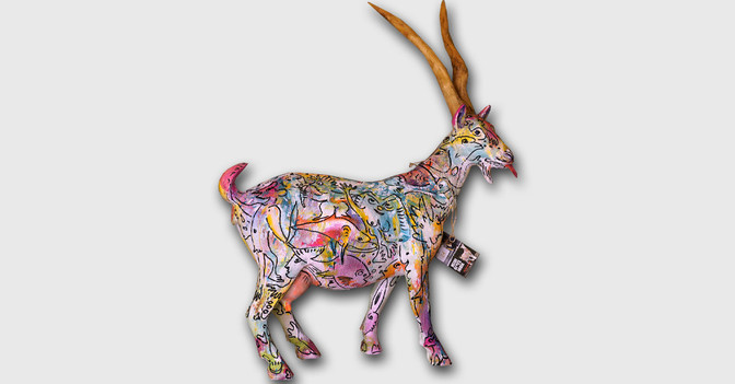 Ziege Prochaska   Ziege Prochaska