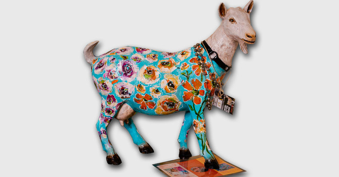 Ziege Rohwedder   Ziege Rohwedder