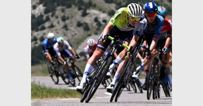  Zimmermann Tour Trikot 24 