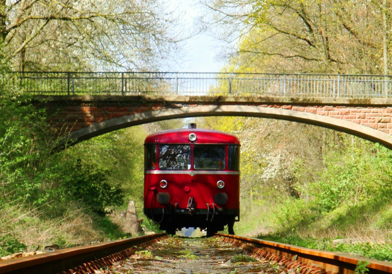  ZLSM-Dampfzugtag erleben 